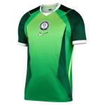 Nike Nigeria 2026 Stadium Home Jersey
