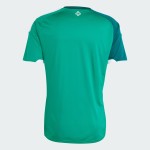 Adidas Northern Ireland 2026 Home Jersey