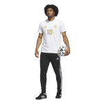 Adidas Argentina 2026 Messi Name and Number Tee